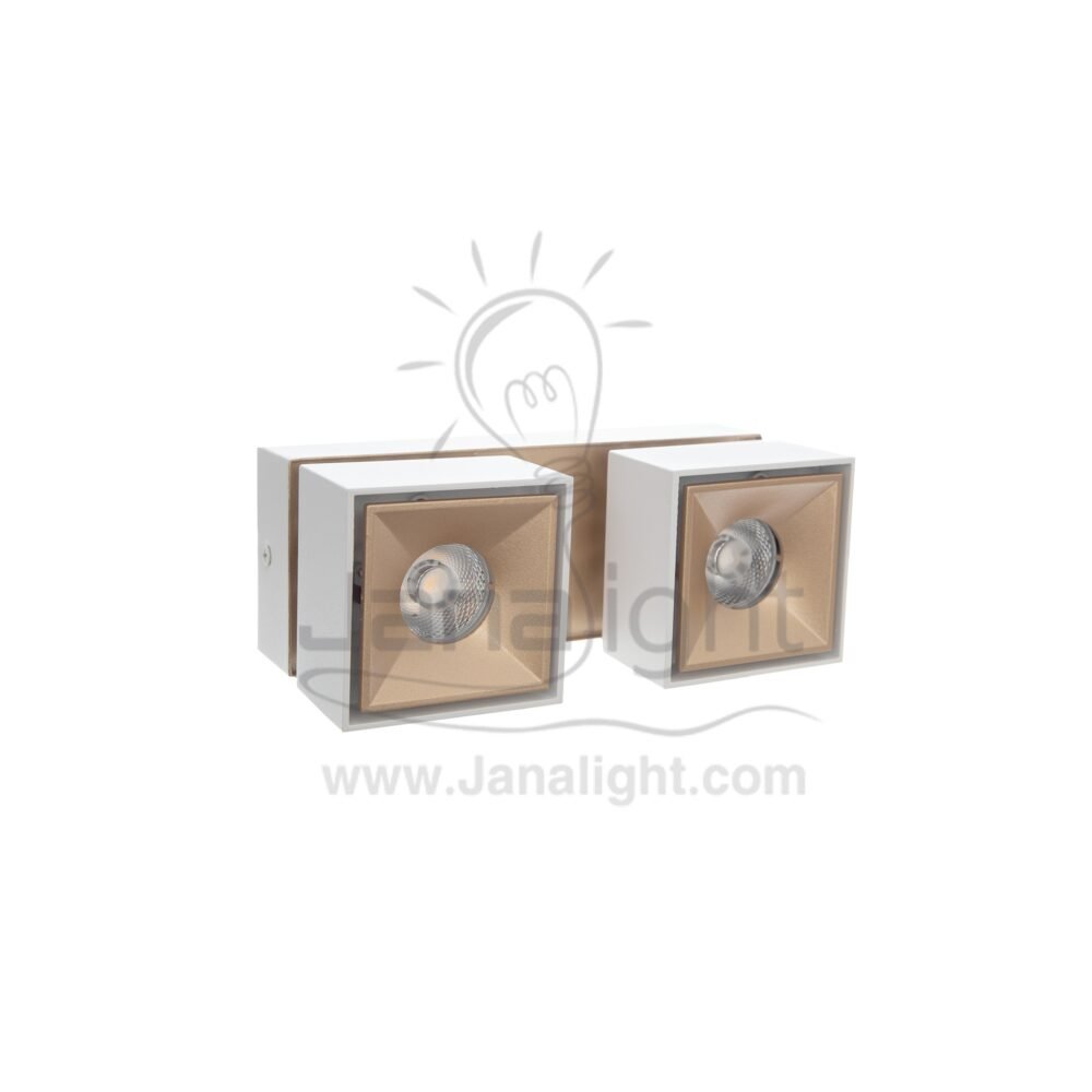 سبوت لايت سلندر 24 وات مجوز ابيض وش شمباني وورم مربع متحرك AC85 2S cylinder downlight frame Square Double white- Champagne worm 24w